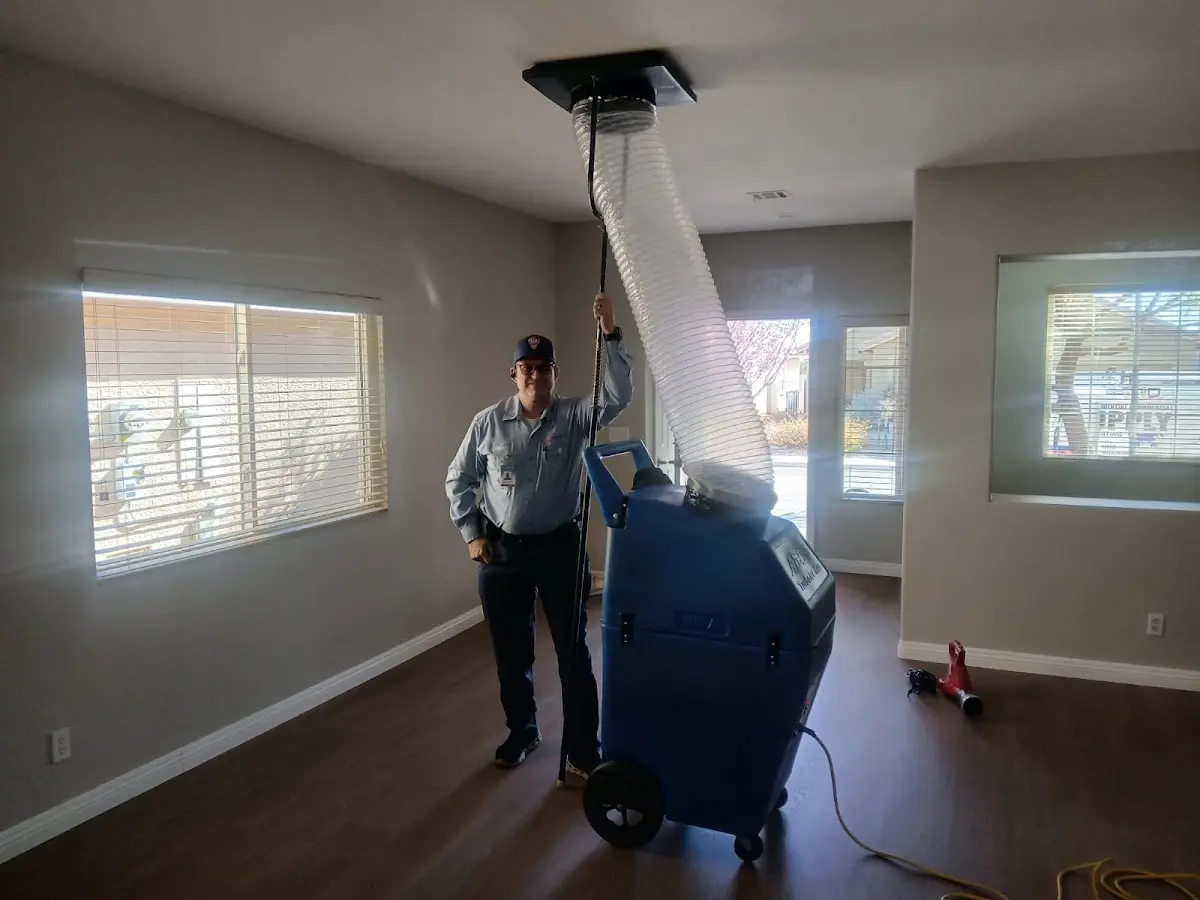 Professional Dryer Vent Cleaning work inside a Forsyth home